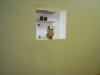 �É����É��s�̍H���XSanki Haus(�T���L�n�E�X)�E�{�H����i�É��sS�l�@�j�摜20